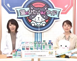 tvk猫のひたいほどワイド　12月のテーマは、「インフルエンザとお口の関係」です！